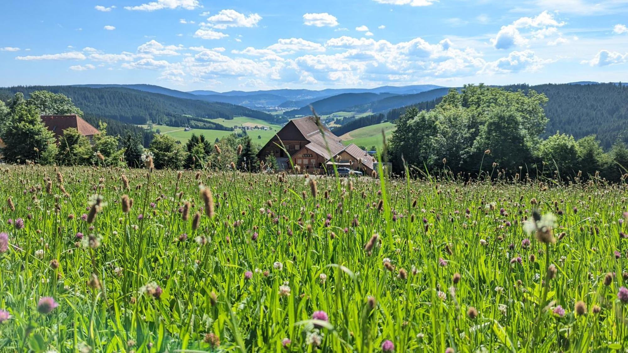 Апартаменты Haberjockelshof Erlebnishof Титизее-Нойштадт Экстерьер фото